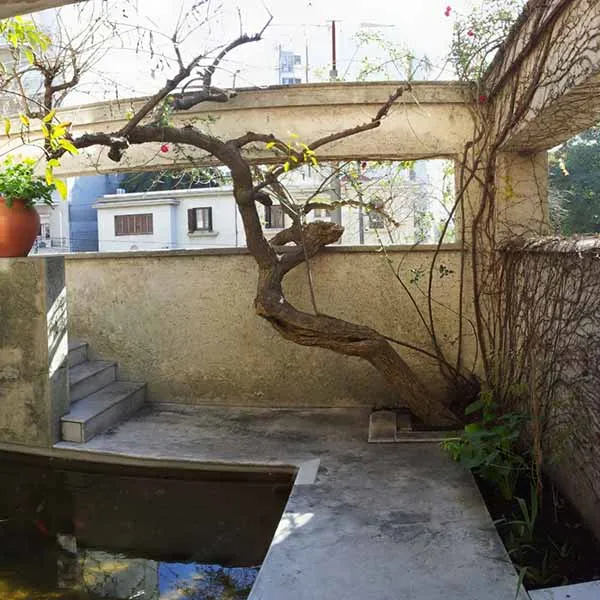 Luis Carranza Work 2